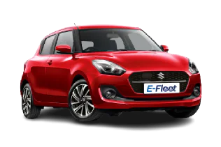 Economy Hatch Hybrid